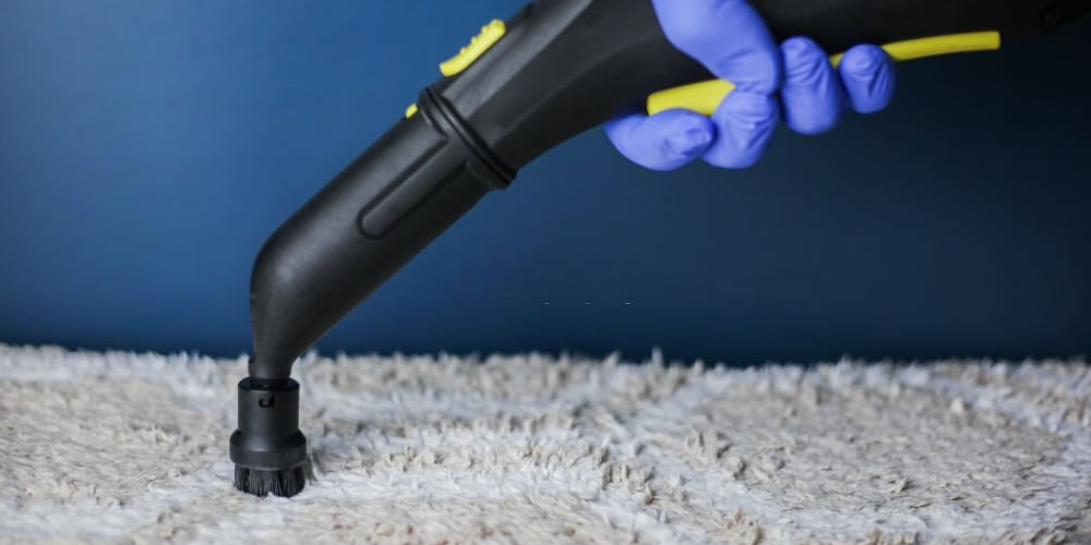 DIY Carpet Cleaning The 8-Step Guide to DIY Carpet Cleaning